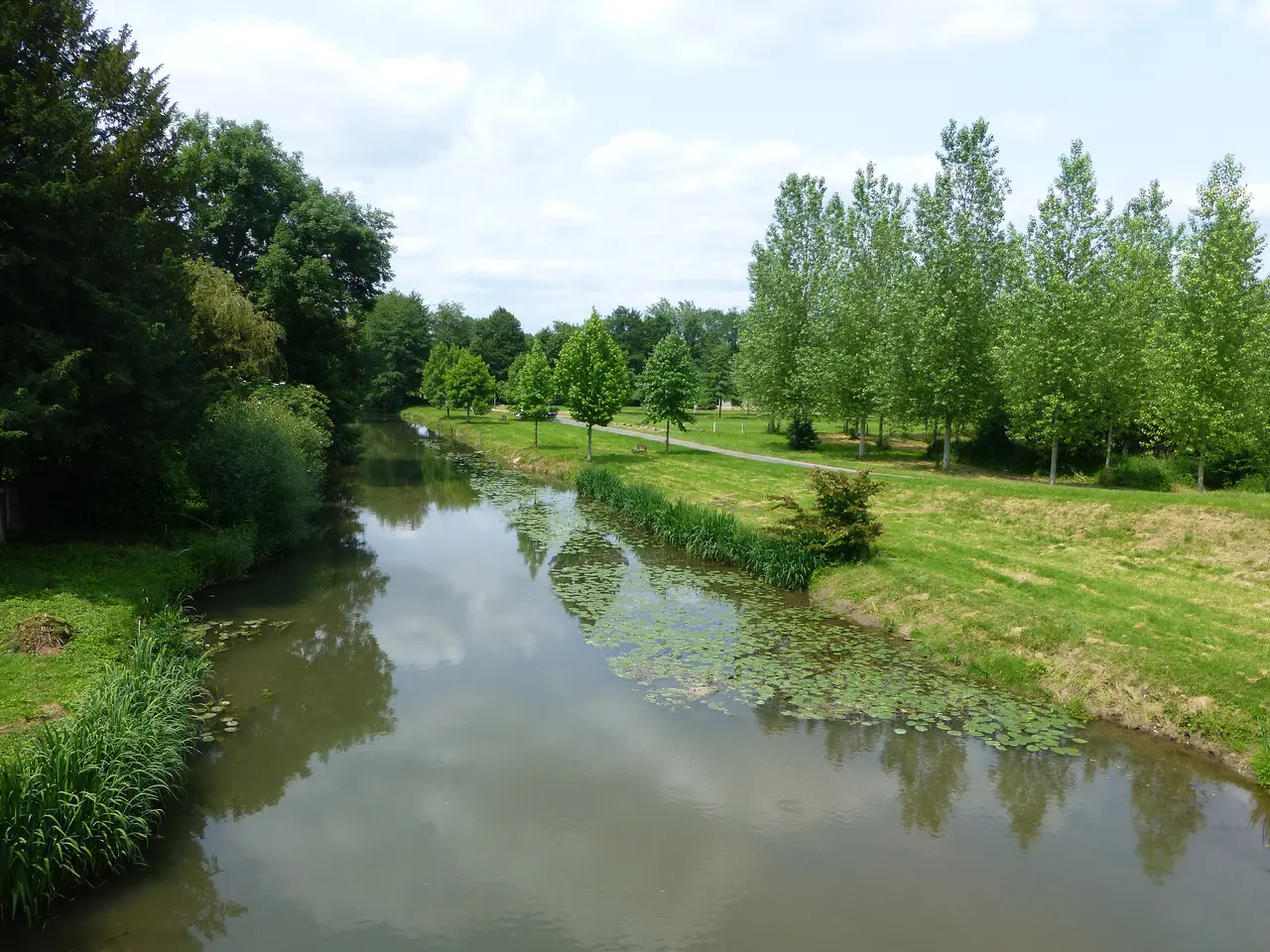 Argent-sur-Sauldre-La Grande Sauldre (1)