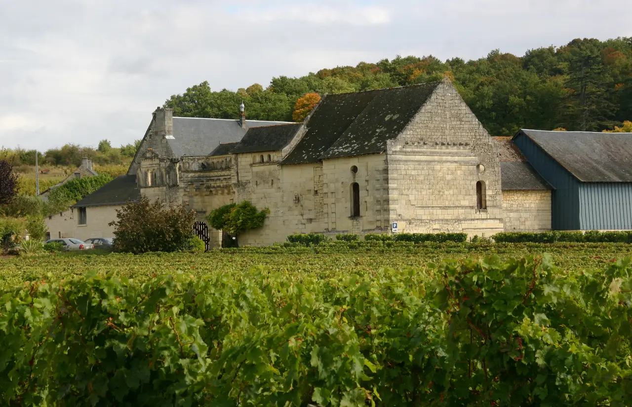 Beaumont-en-Véron-122-Weinberg-Hof-2008-gje