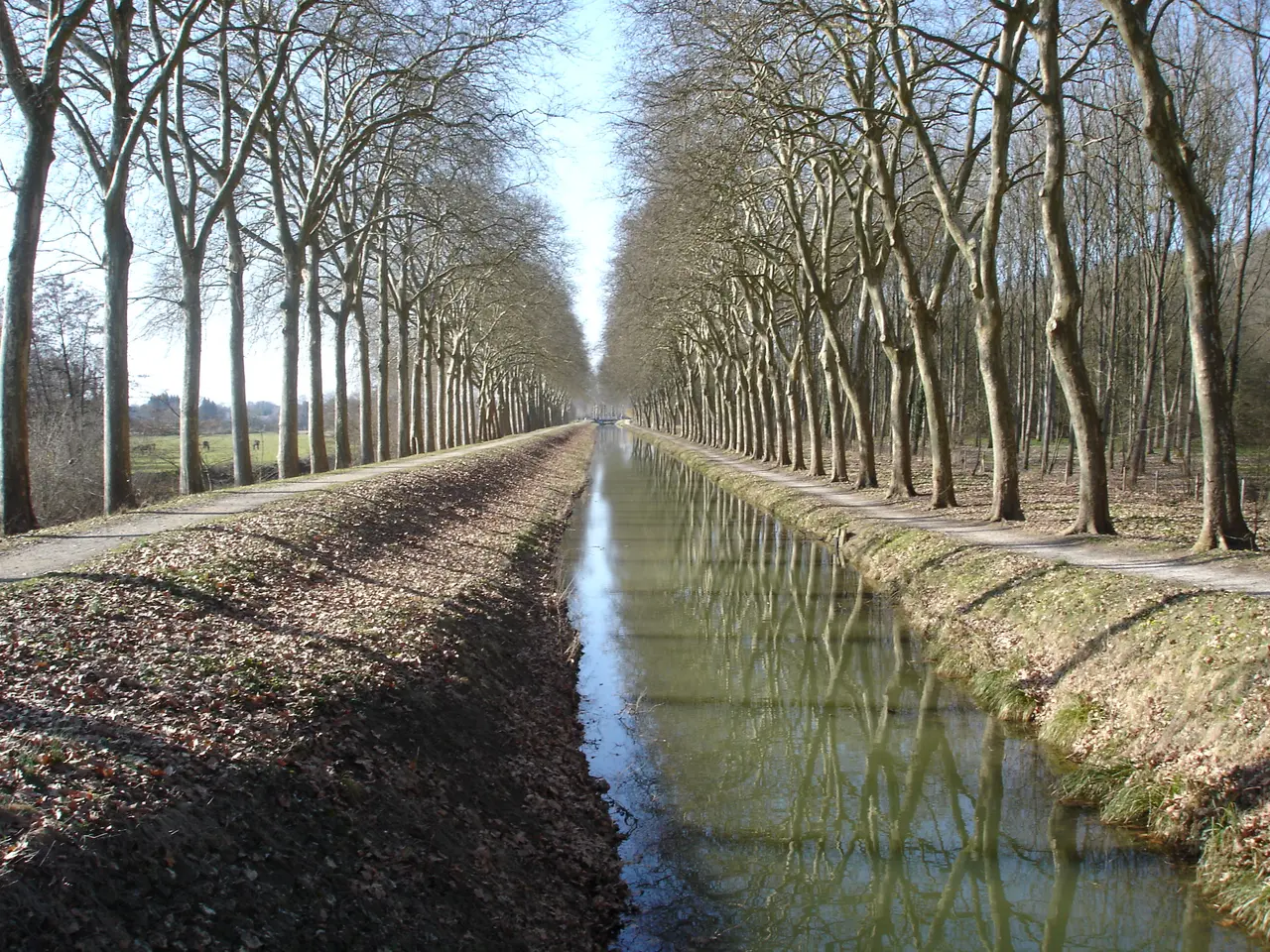 Le canal de la Sauldre à Blancafort (vue du Remblai)