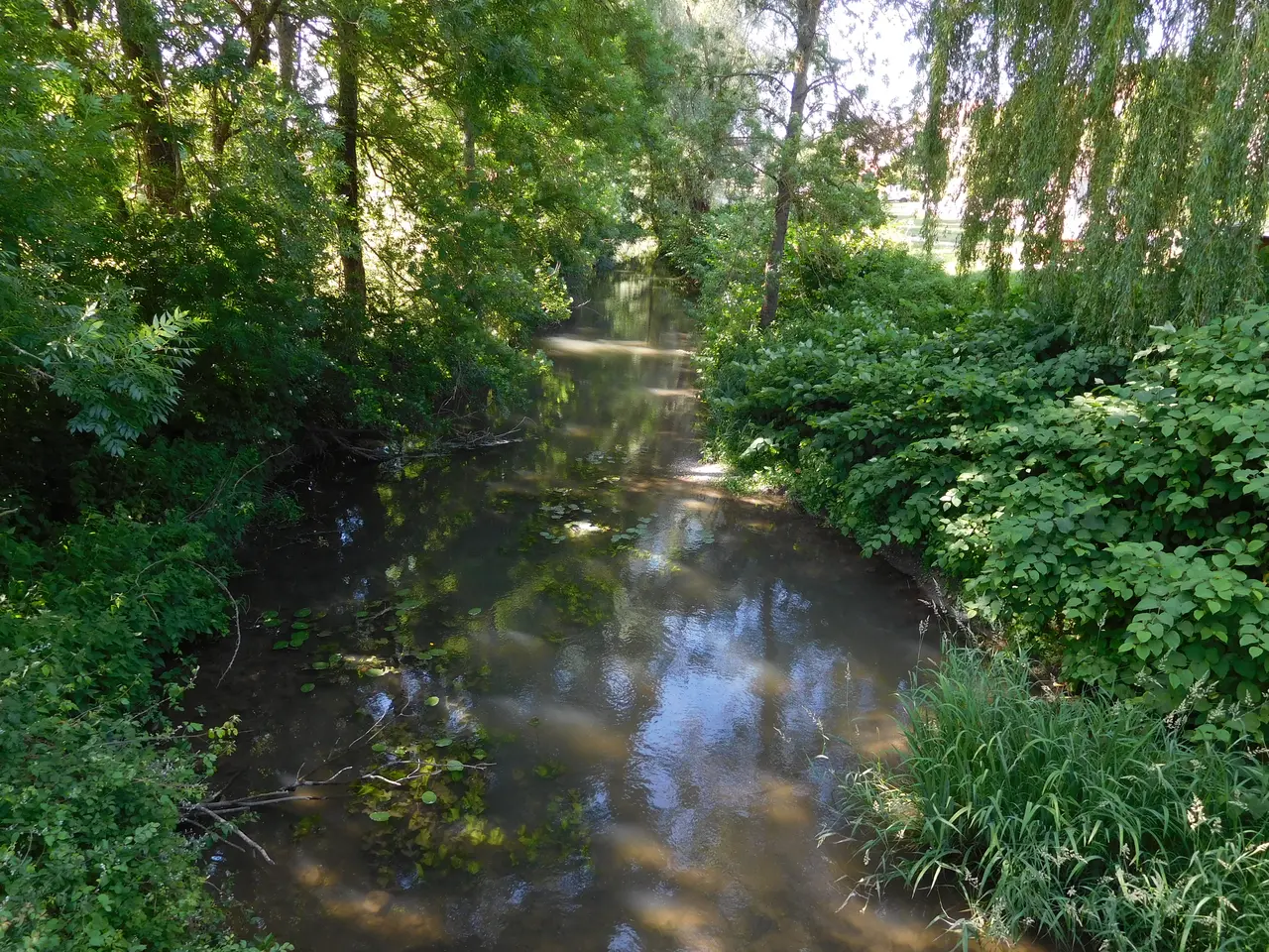 Bonny-sur-Loire, la Cheuille