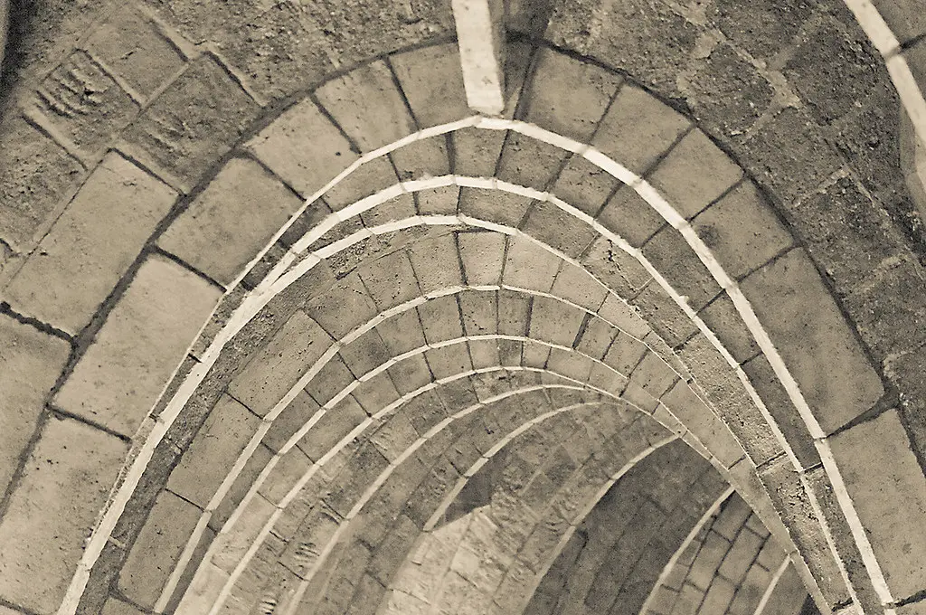 A la panxa del bou... / Organic architecture