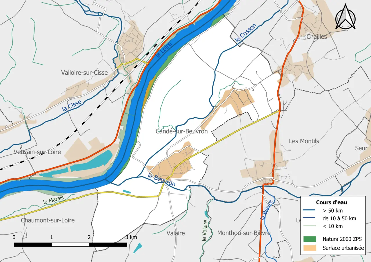 41029-Candé-sur-Beuvron-Natura2000-ZPS