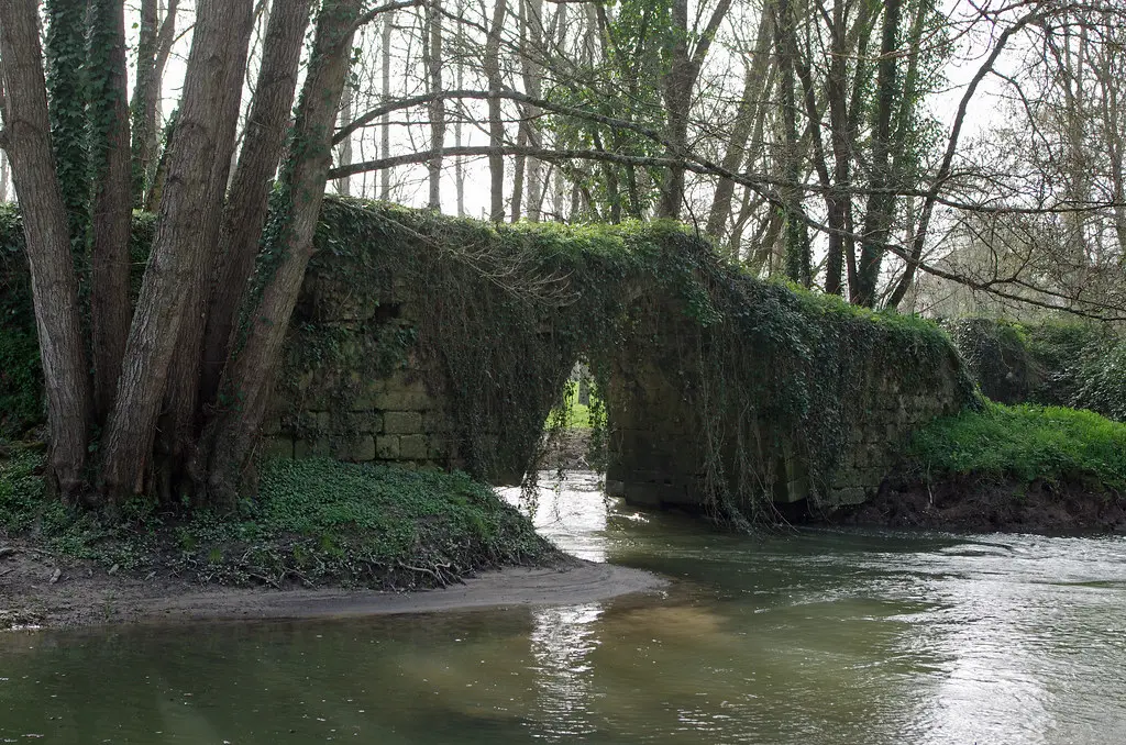 Chambourg-sur-Indre (Indre-et-Loire).