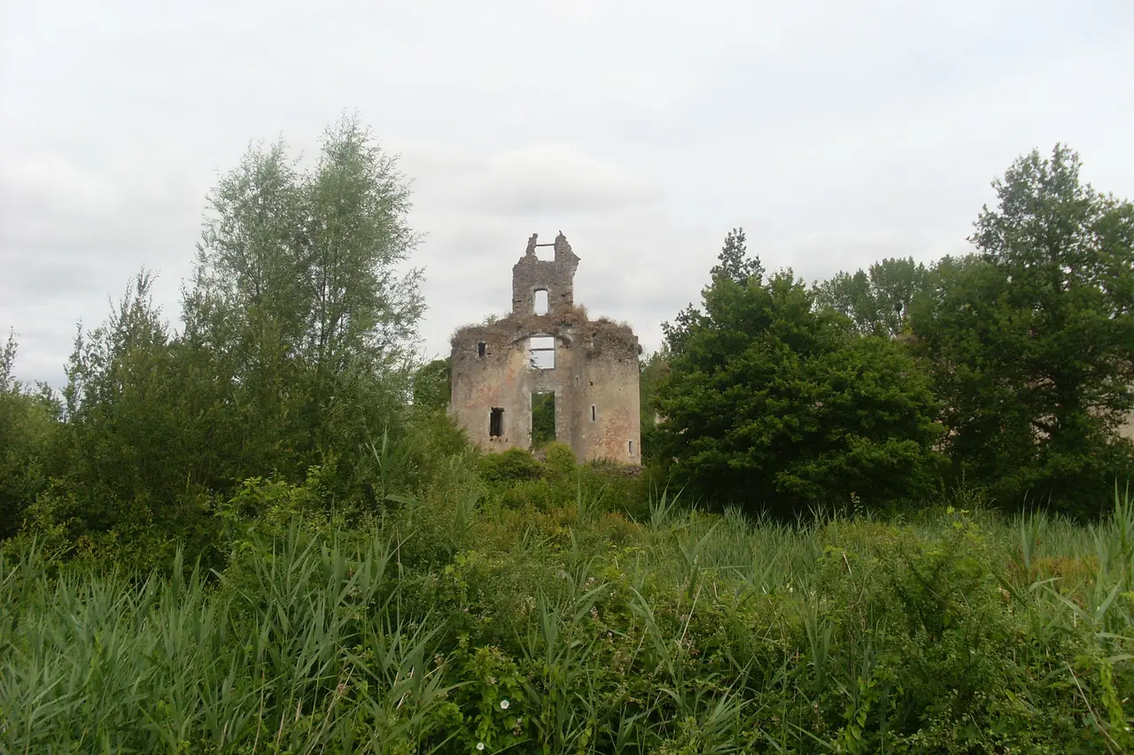 Château-la-Vallière, Ruines du château de Vaujours, vue générale