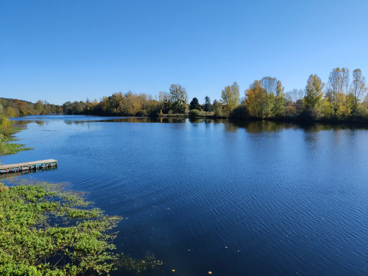 Bords du Cher à Châtres-sur-Cher (7)