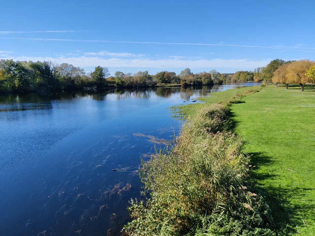 Bords du Cher à Châtres-sur-Cher (4)
