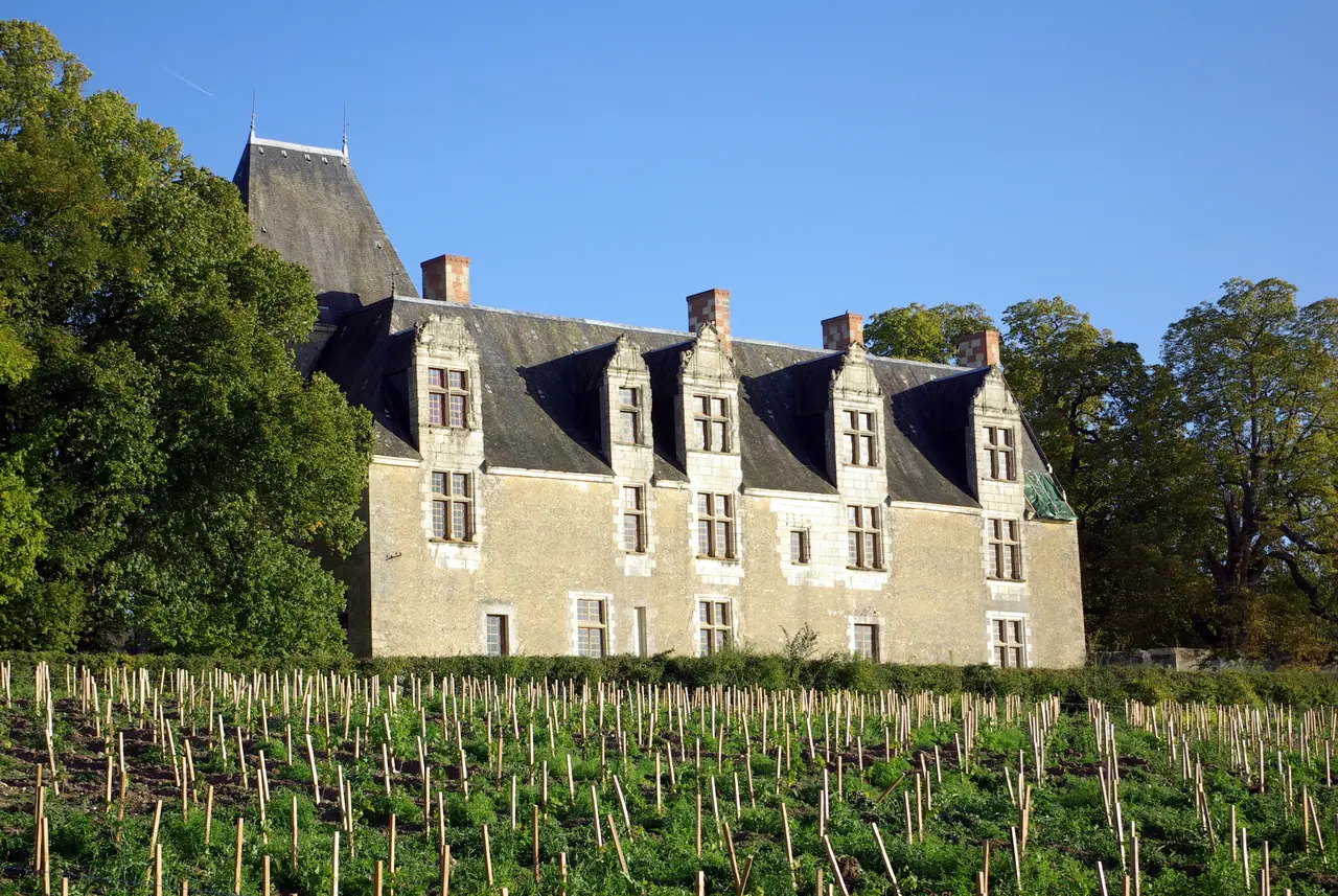 File:Château de la Cour-au-Berruyer, Cheillé 3.jpg
