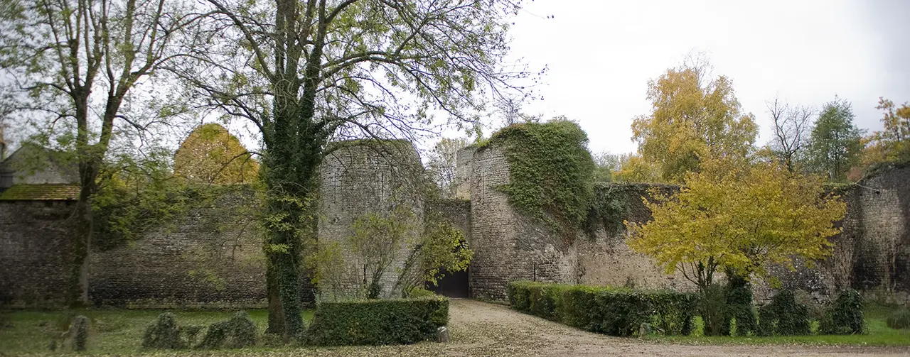 Château de Mez-le-Maréchal (Dordives)
