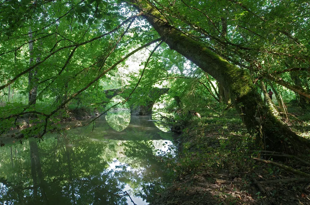 Esvres ou Esvres-sur-Indre (Indre-et-Loire)