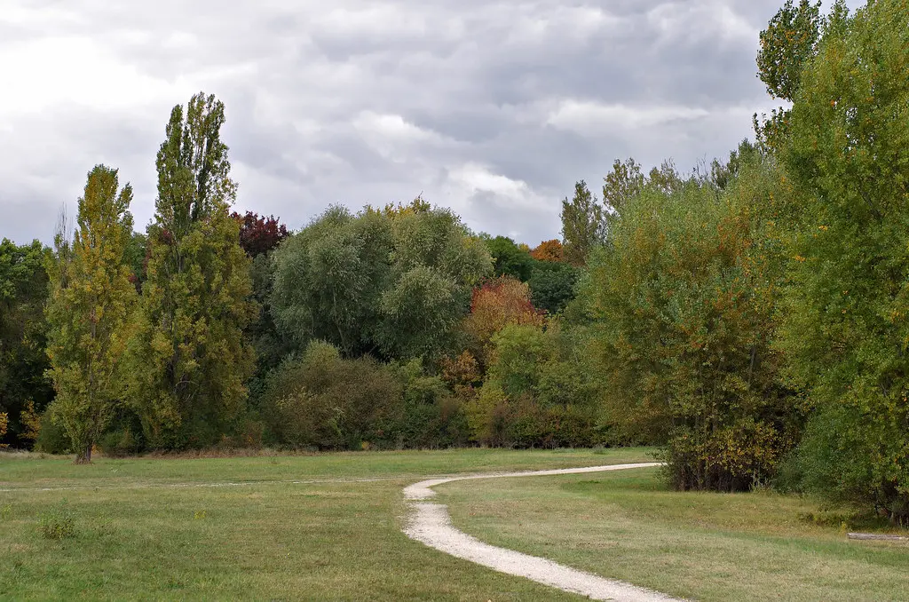 Faverolles-sur-Cher (Loir-et-Cher)