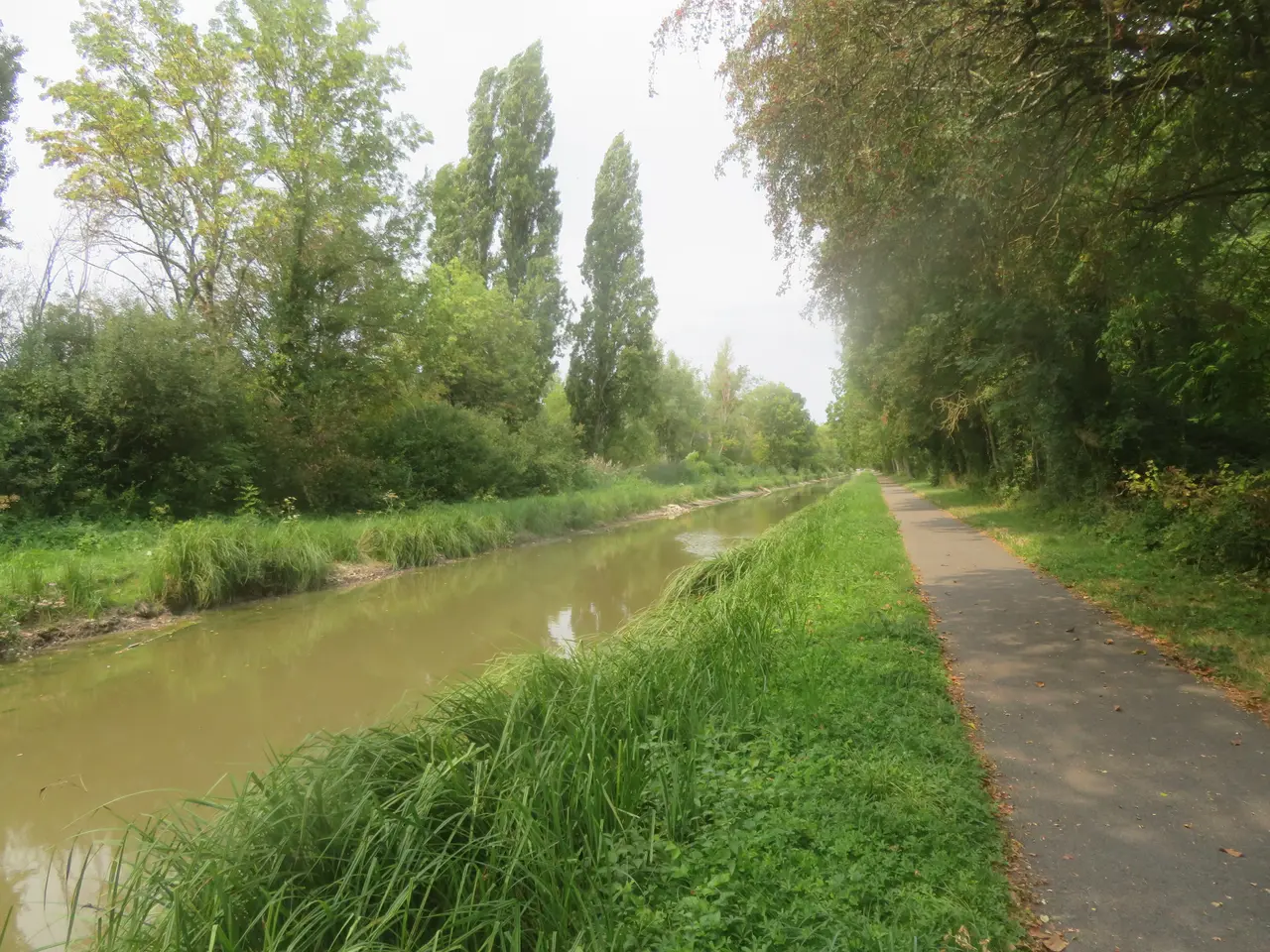 Canal de Berry au sud-est de l'A 71 à Foëcy