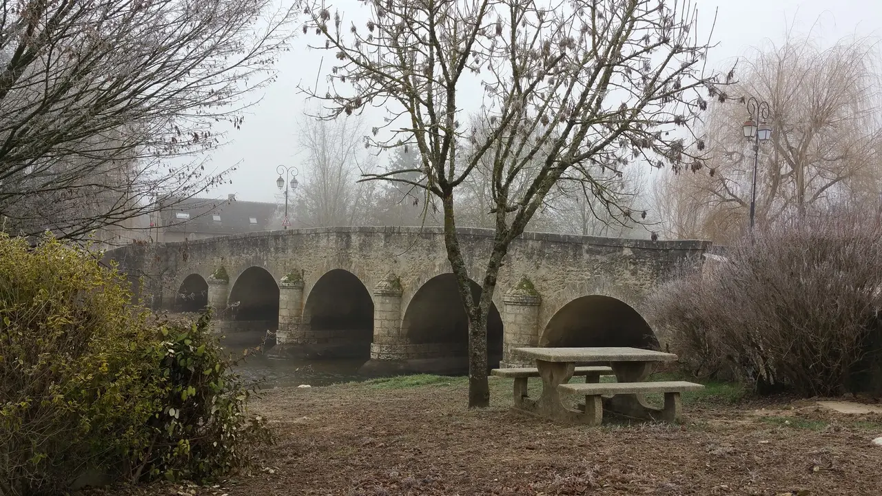 Pont de Huisseau sur Cosson (Loir et Cher)