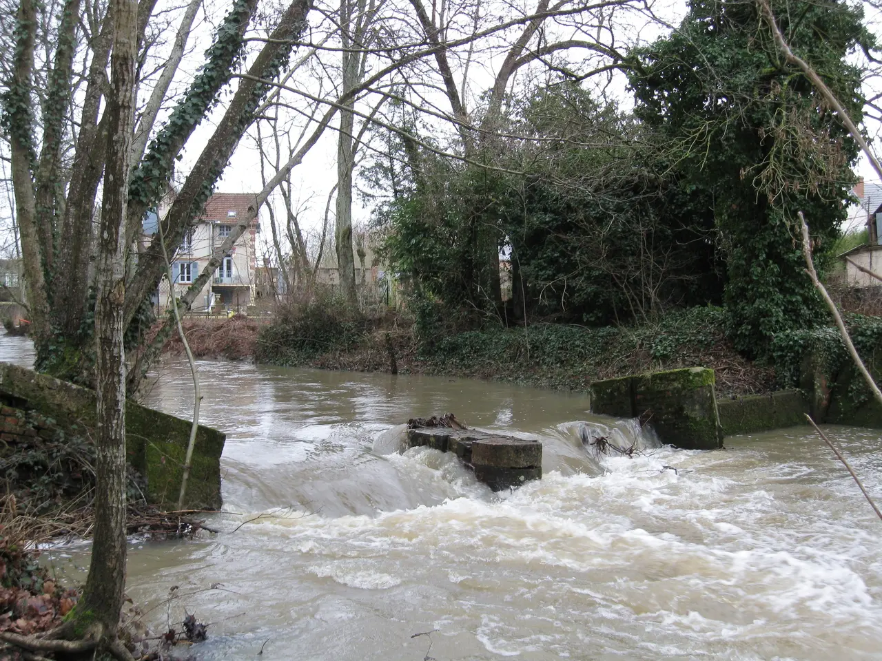 Lamotte-Beuvron le Beuvron 1