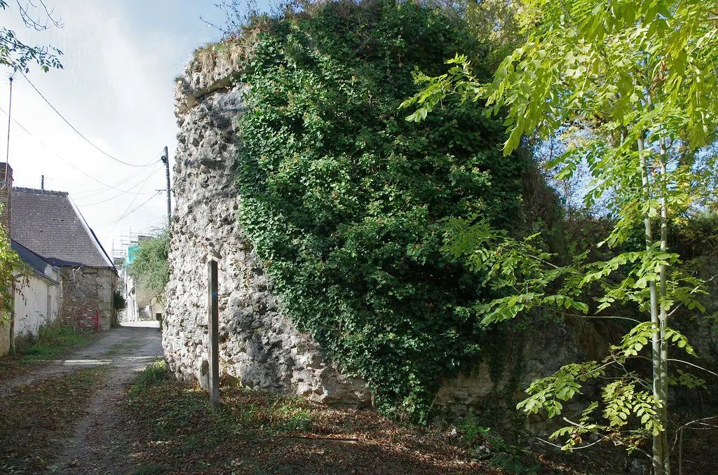 Larçay (Indre-et-Loire).