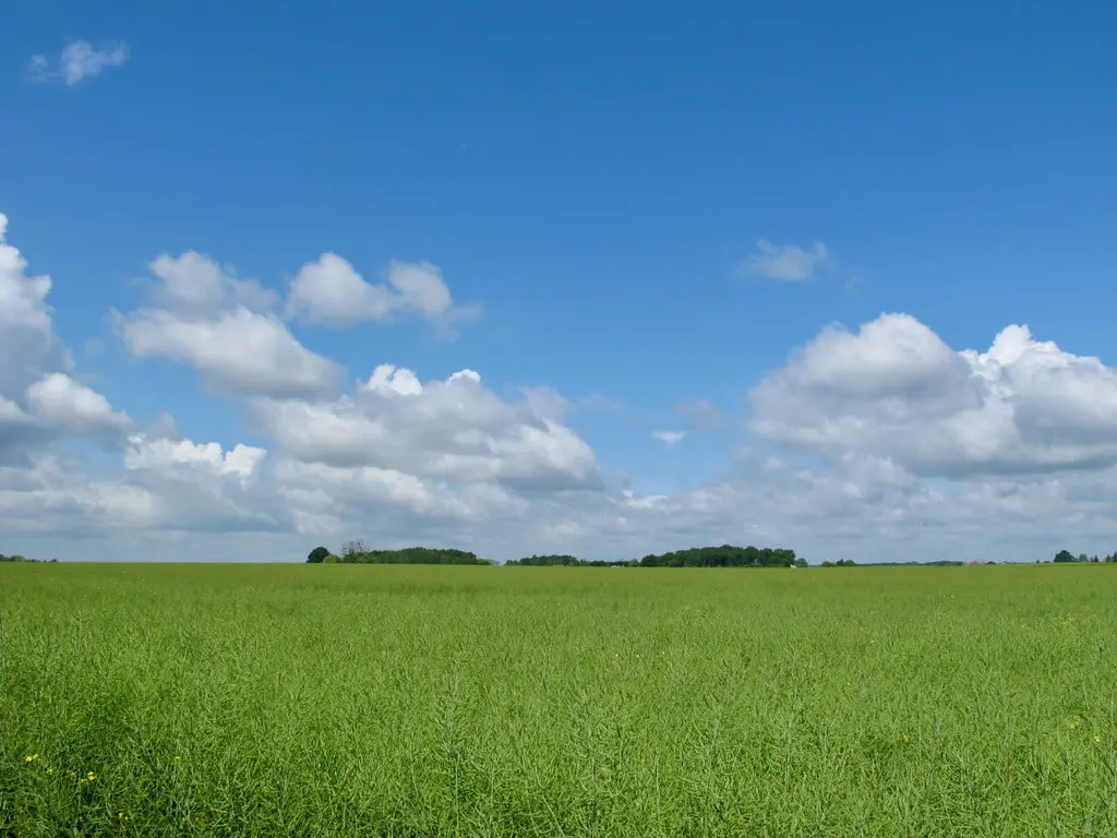 La Pastourellerie, Le Controis-en-Sologne
