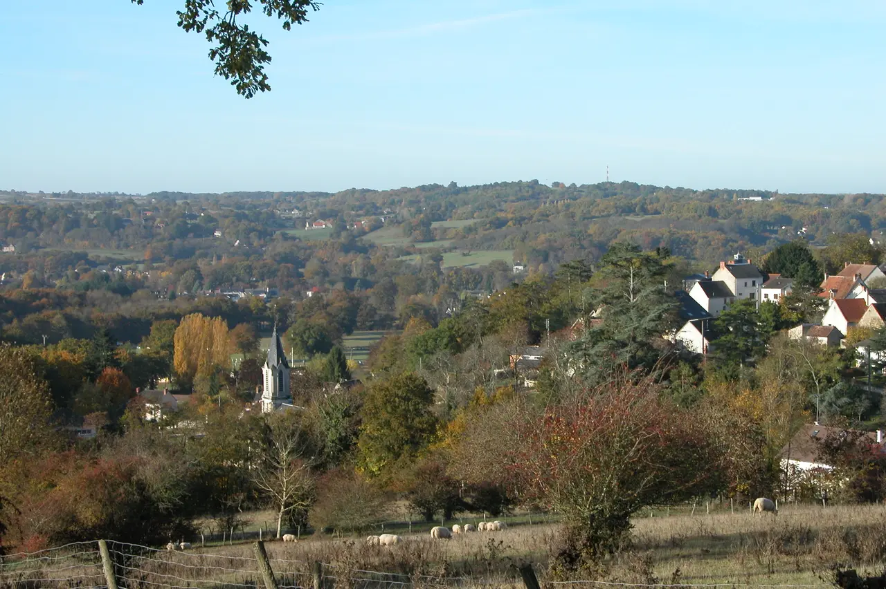Le Pêchereau (Indre) - Vue générale