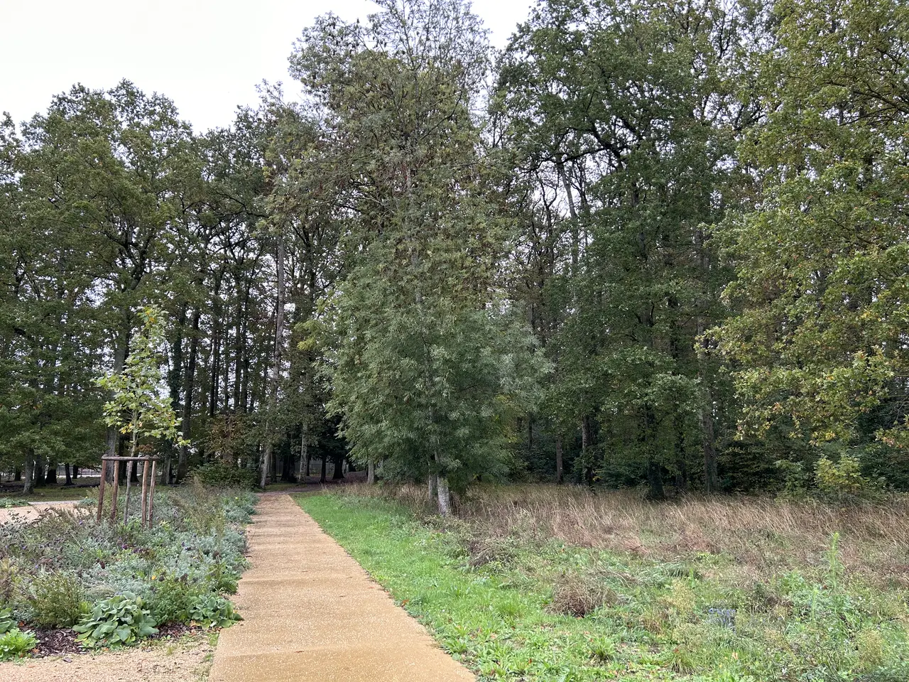 Neuillé-Pont-Pierre - parc
