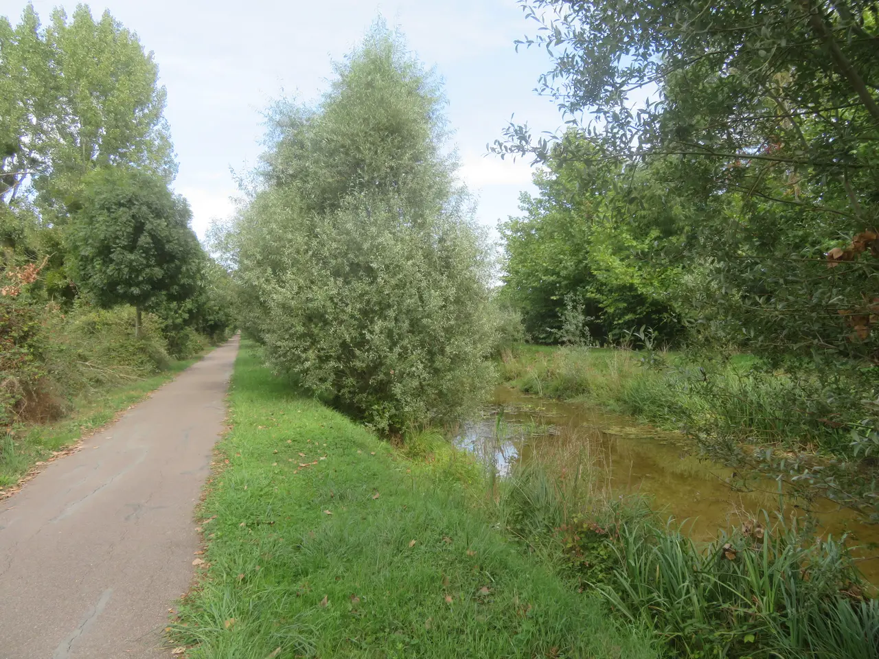 Voie verte du canal de Berry à Plaimpied-Givaudins 1 km au nord du bourg