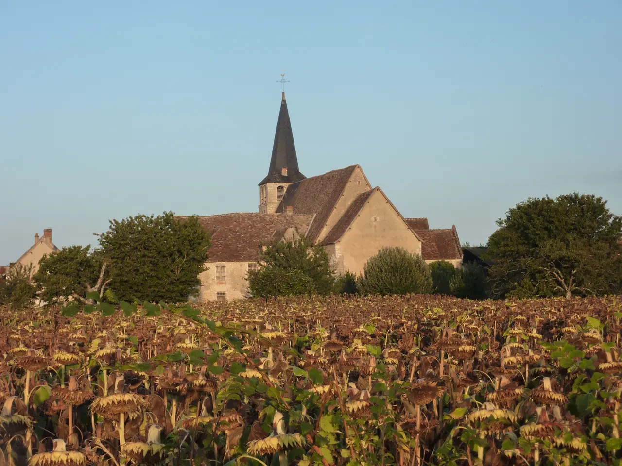 Eglise de Pouligny Saint Pierre
