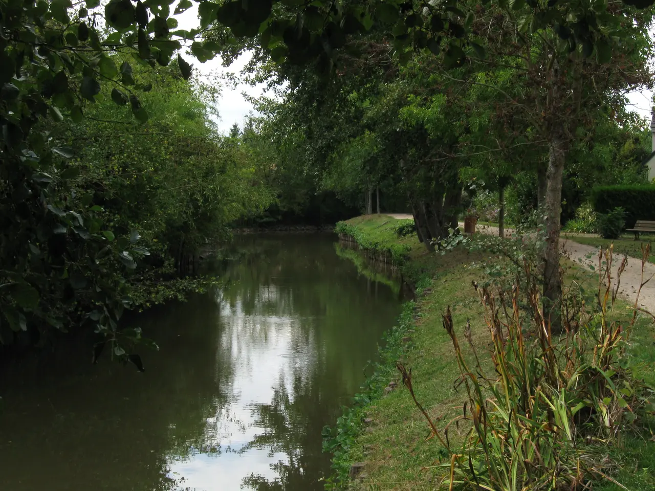 Saint-Cyr-en-Val promenade du Dhuy 3