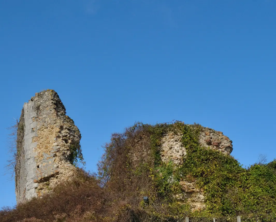 Saint-Gondon donjon de la Motte (cropped)
