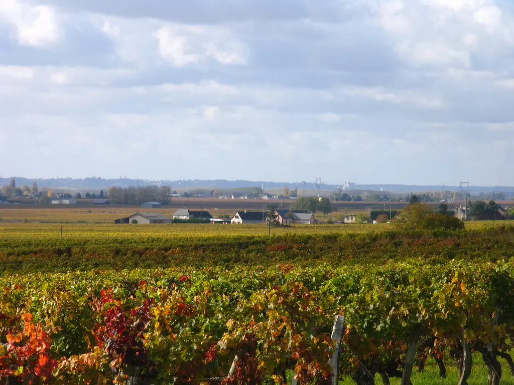 Saint-Nicolas-de-Bourgueil