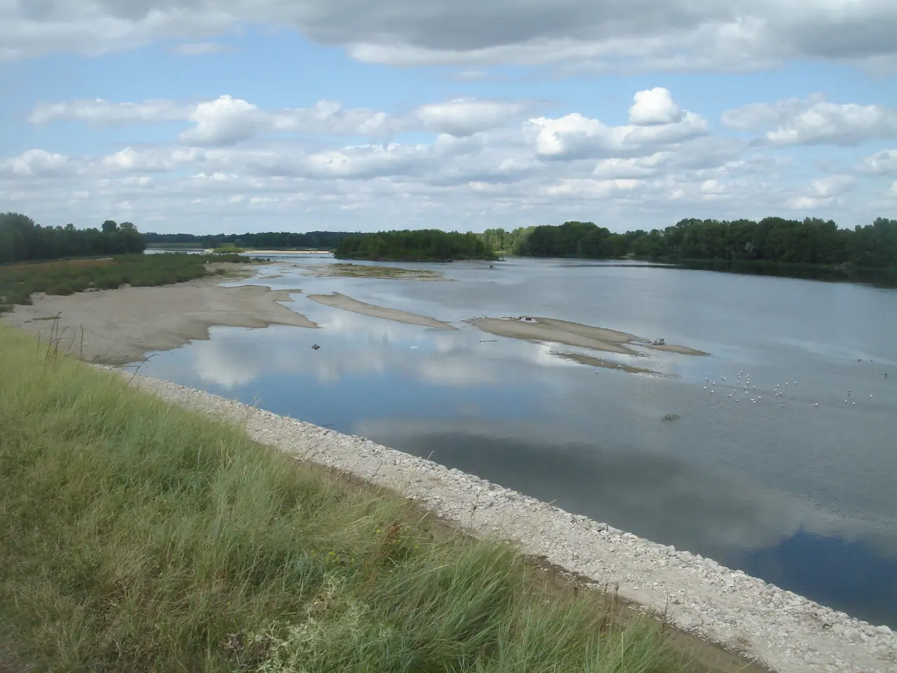 La Loire à Sandillon 01