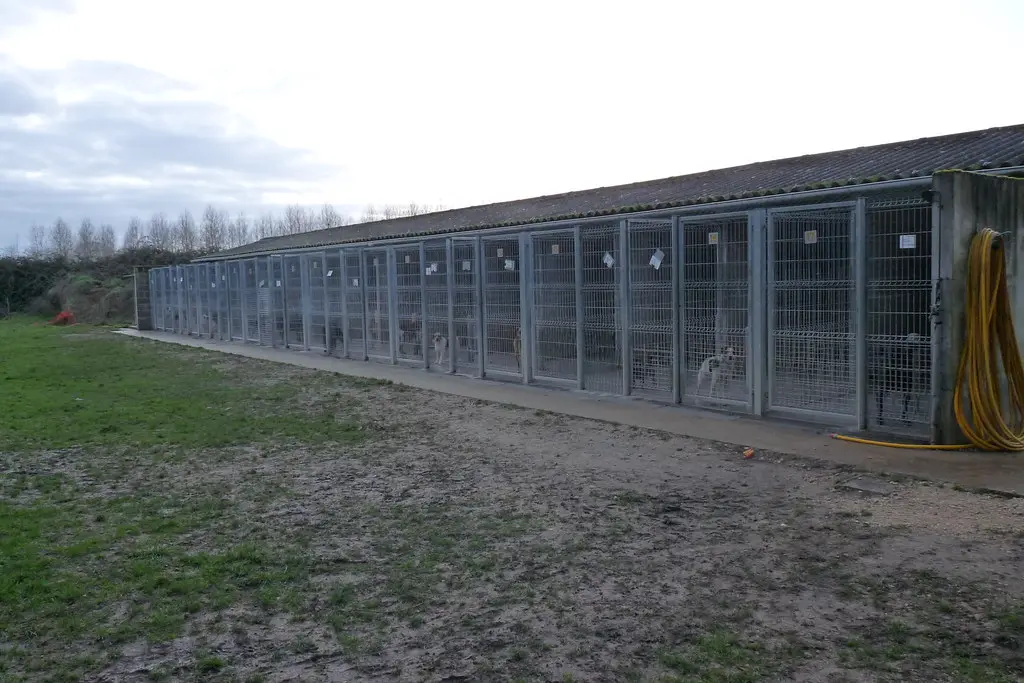 spa de sassay, une prison pour chiens et chats