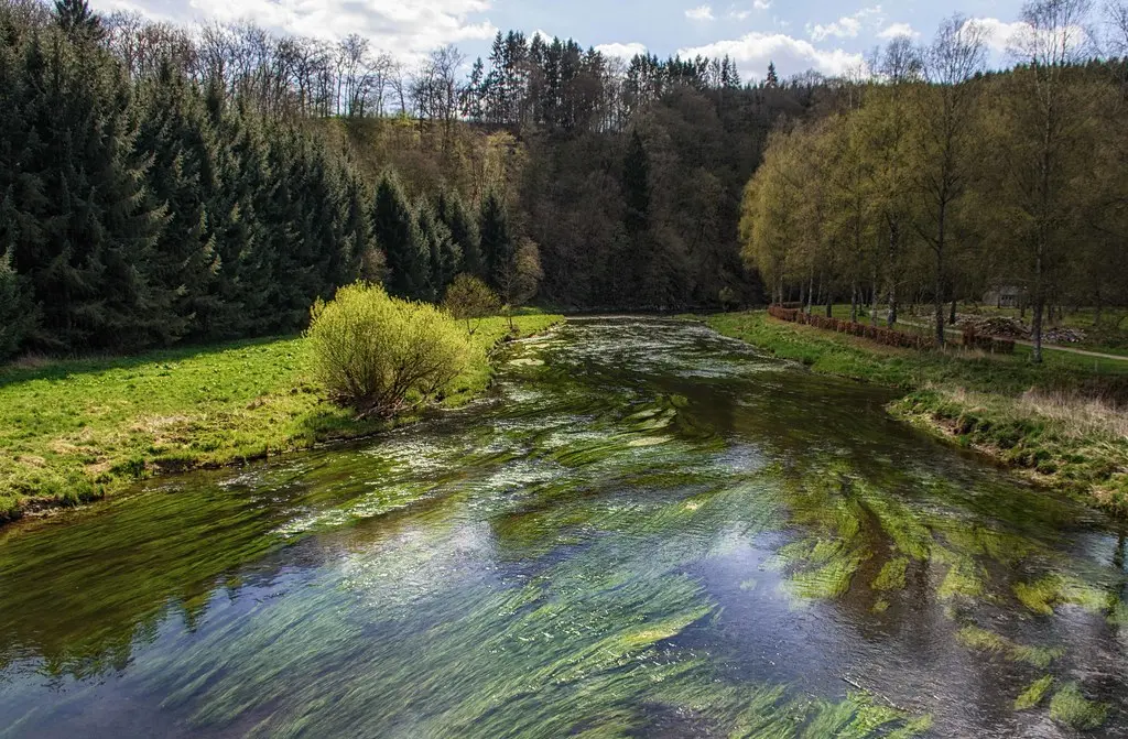 River Semois in Mortehan