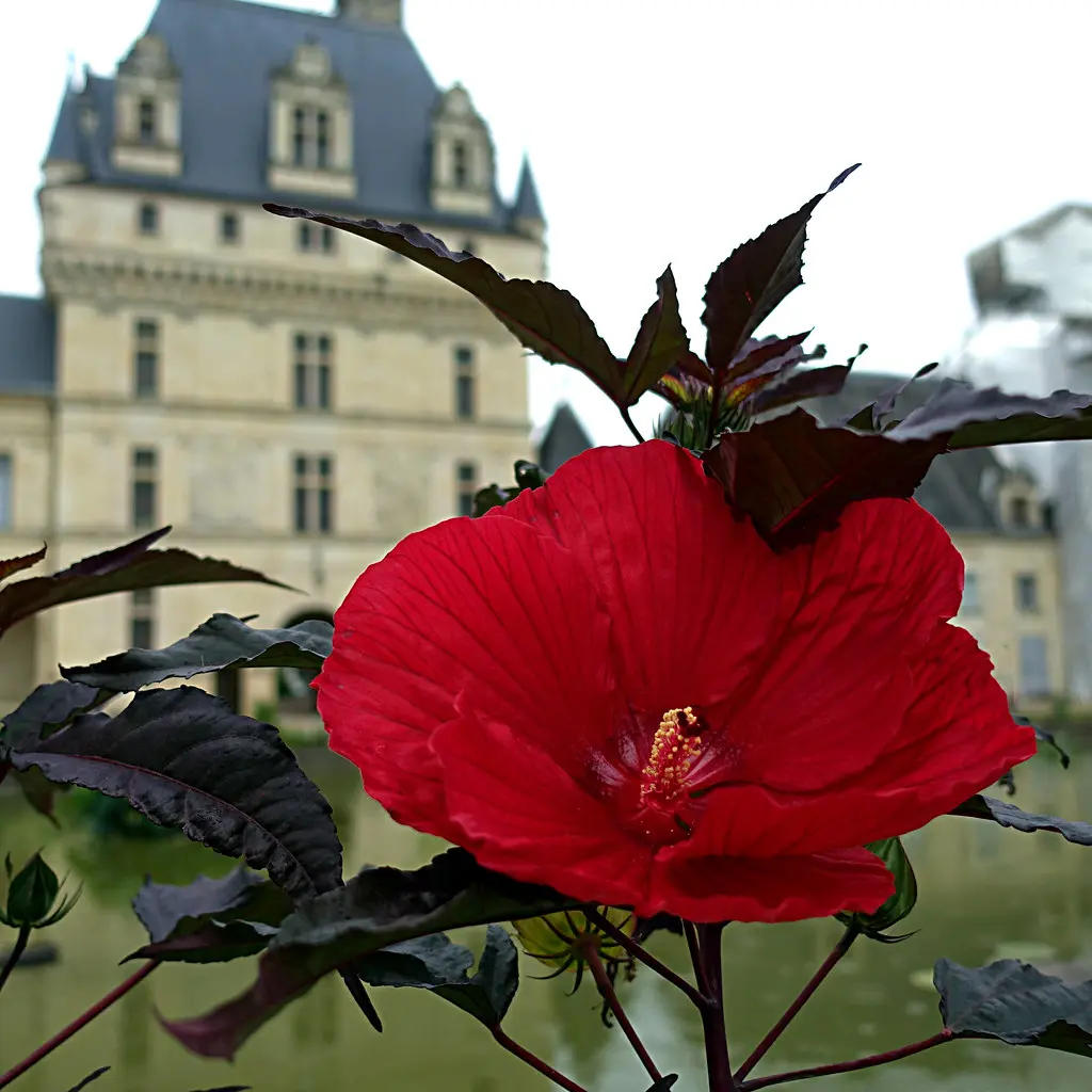 Valençay