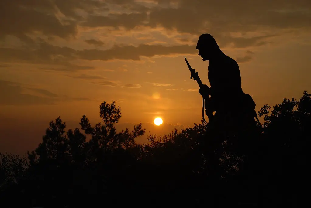 Vatan Bekçisi / Country Guard