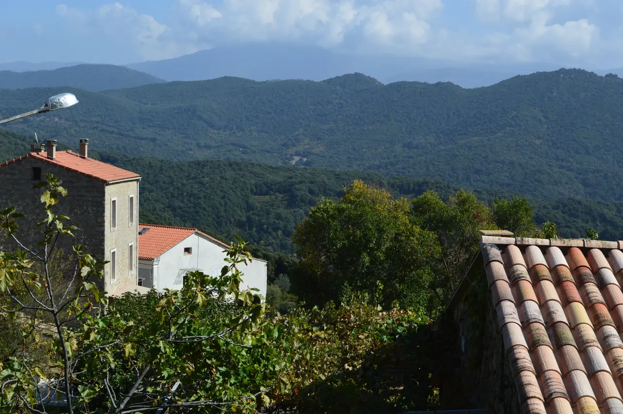Albitreccia View