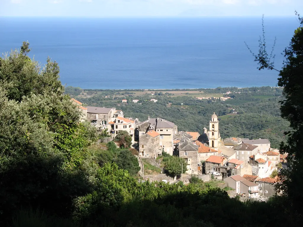 Cervione