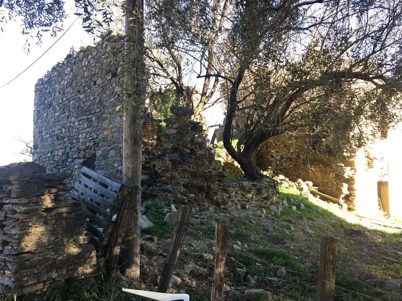 Ruvine di a chjesa San Paulu di Linguizzetta, pieve di Verde