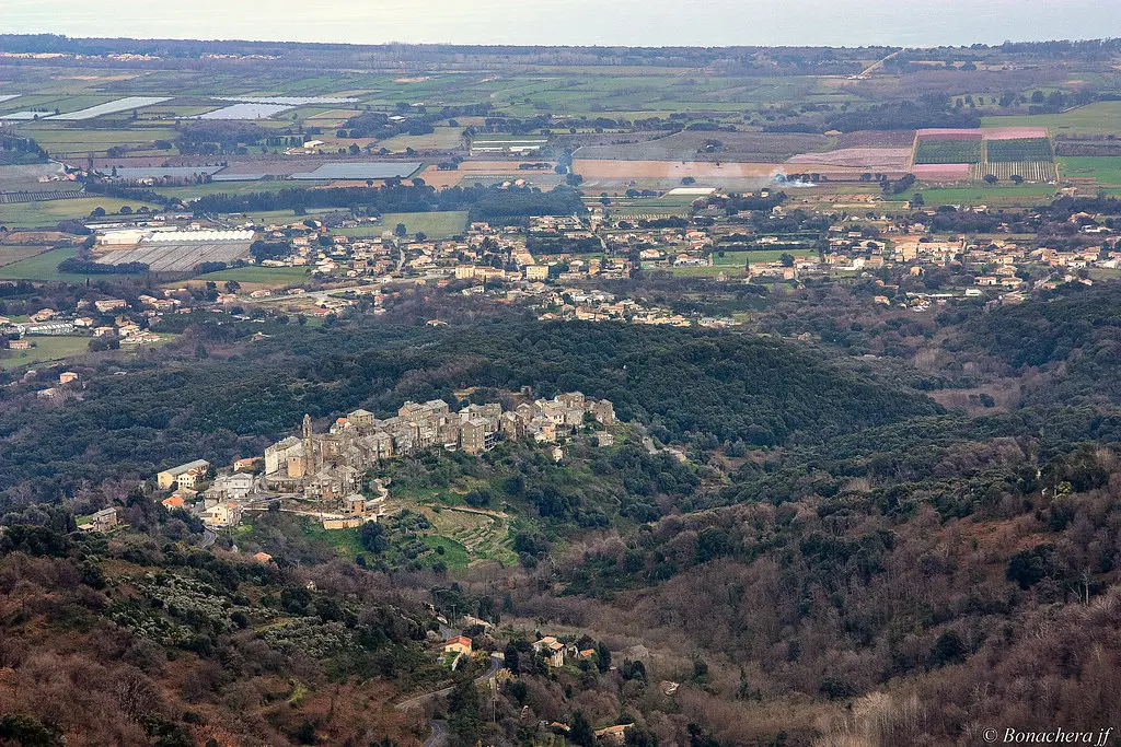 Venzolasca