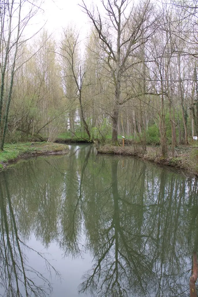 Bazancourt