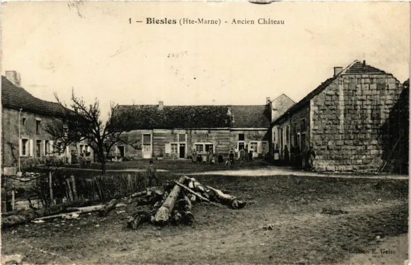 L'ancien château de Biesles