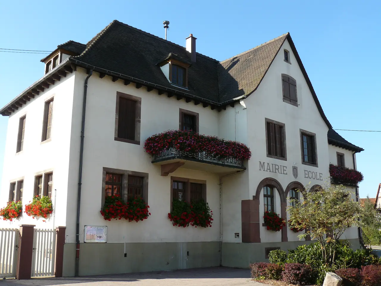 Bindernheim 006