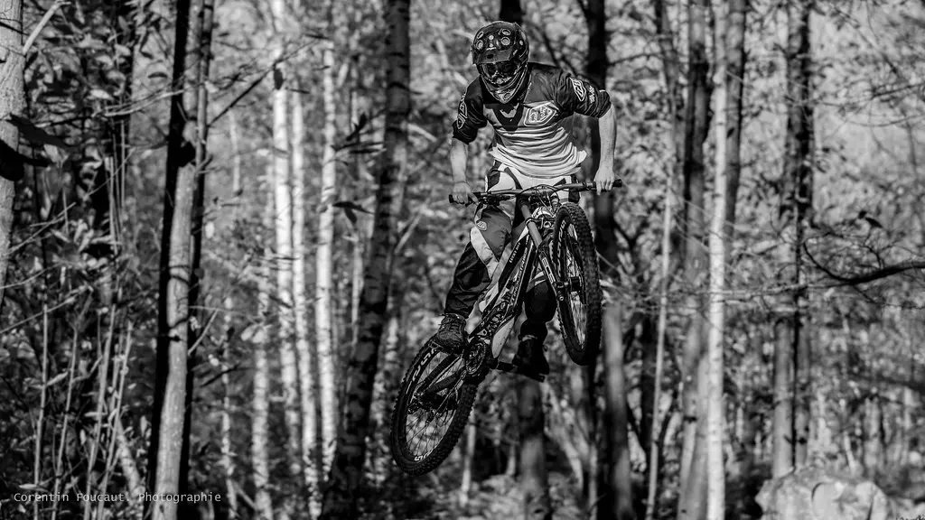 DH à Bréviande