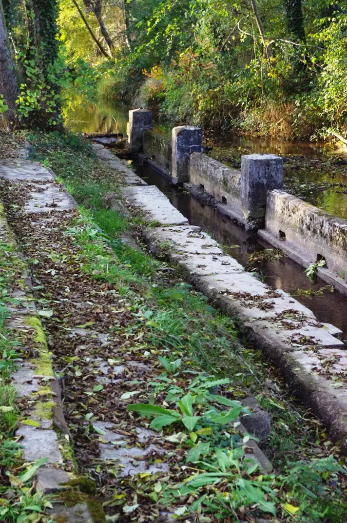 Lavoir du Dich Burnhaupt le bas