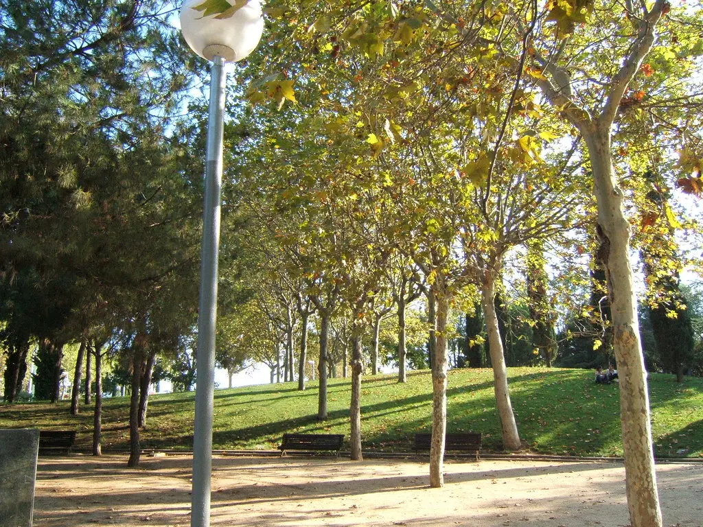 Parc de Carles I
