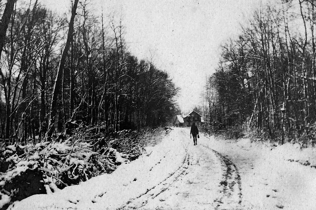 Alsace : Bois Carspach - (photo VestPocket Kodak Marius Vasse 1891-1987)