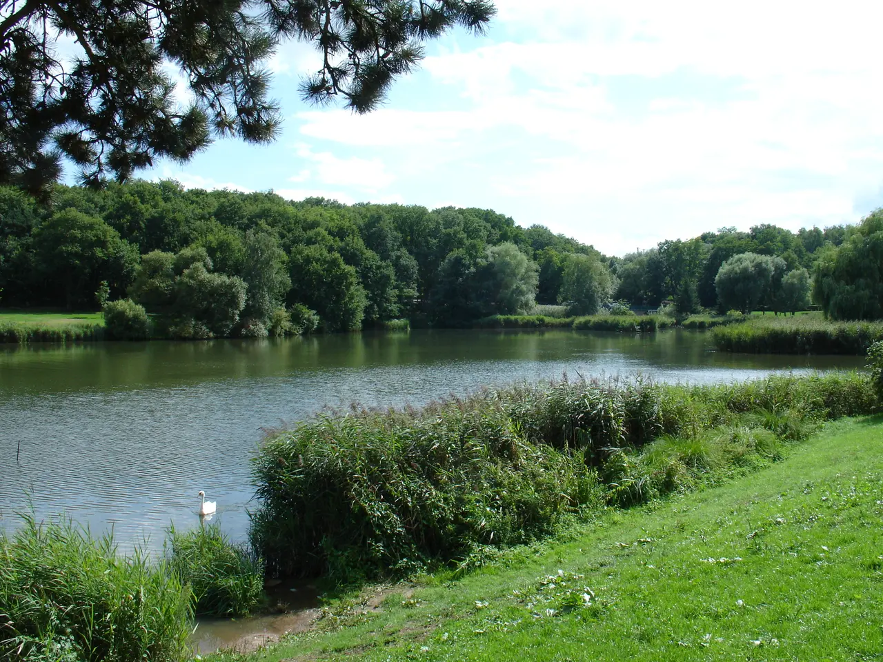 Creutzwald lac 03
