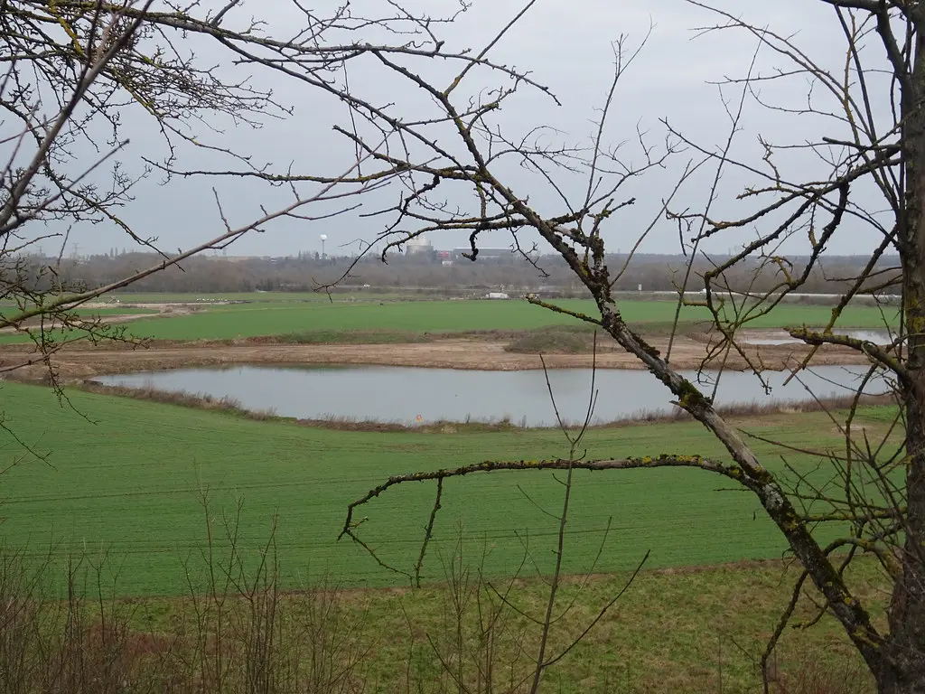 Petit étang, entre Villey-le-Sec et Dommartin lès Toul, Meurthe-et-Moselle
