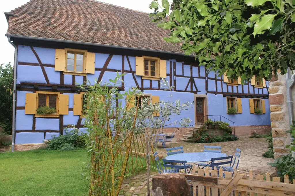 Les petits tisserands à Epfig, Alsace, France