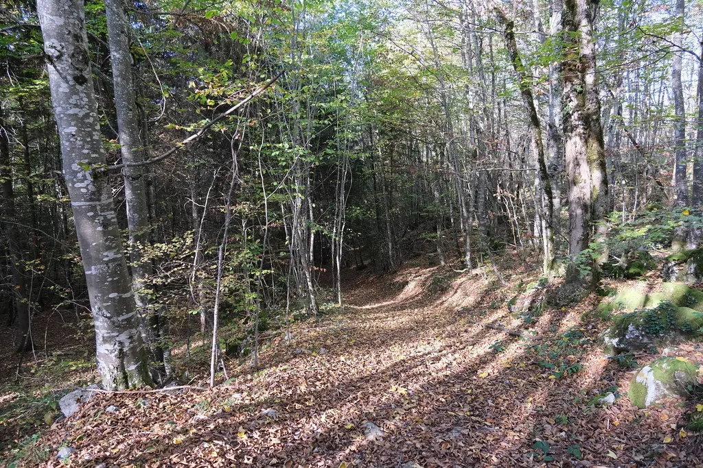 Montagne du Gros Foug