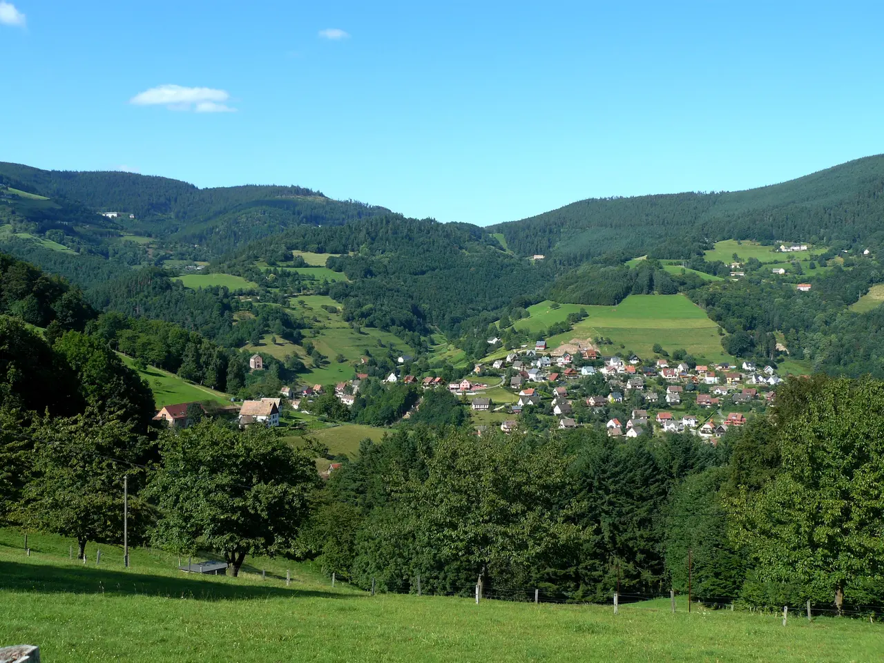 Fréland A 041