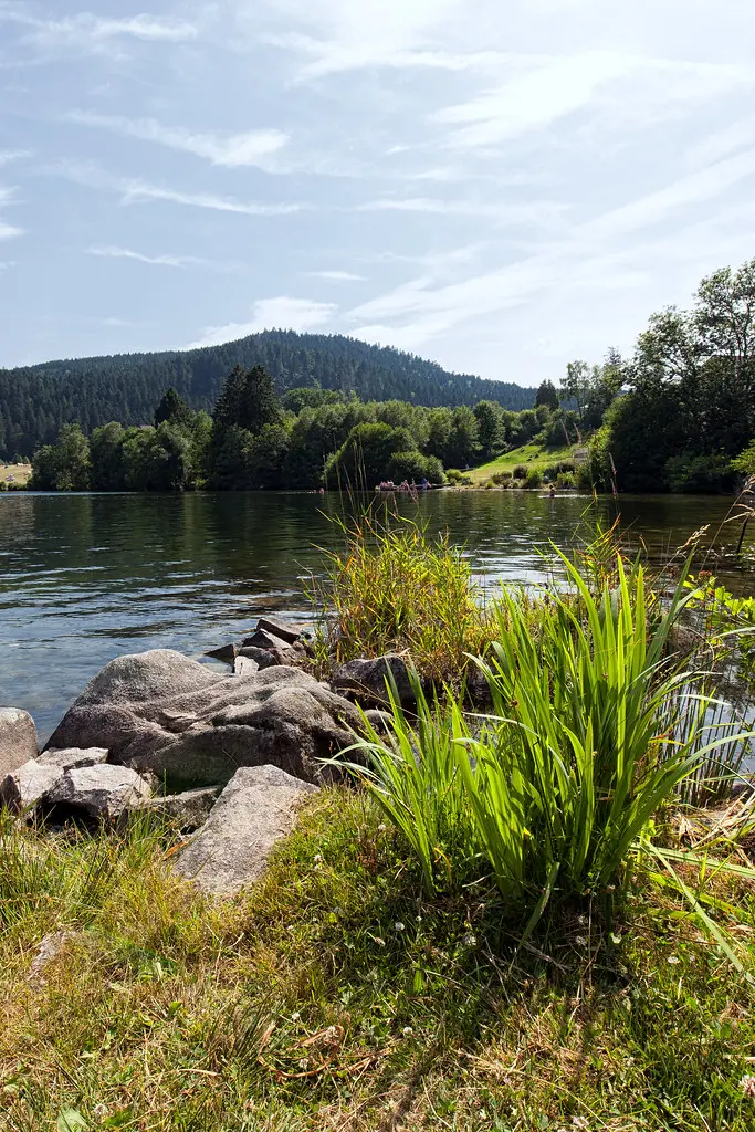Vue sur le lac de Gérardmer