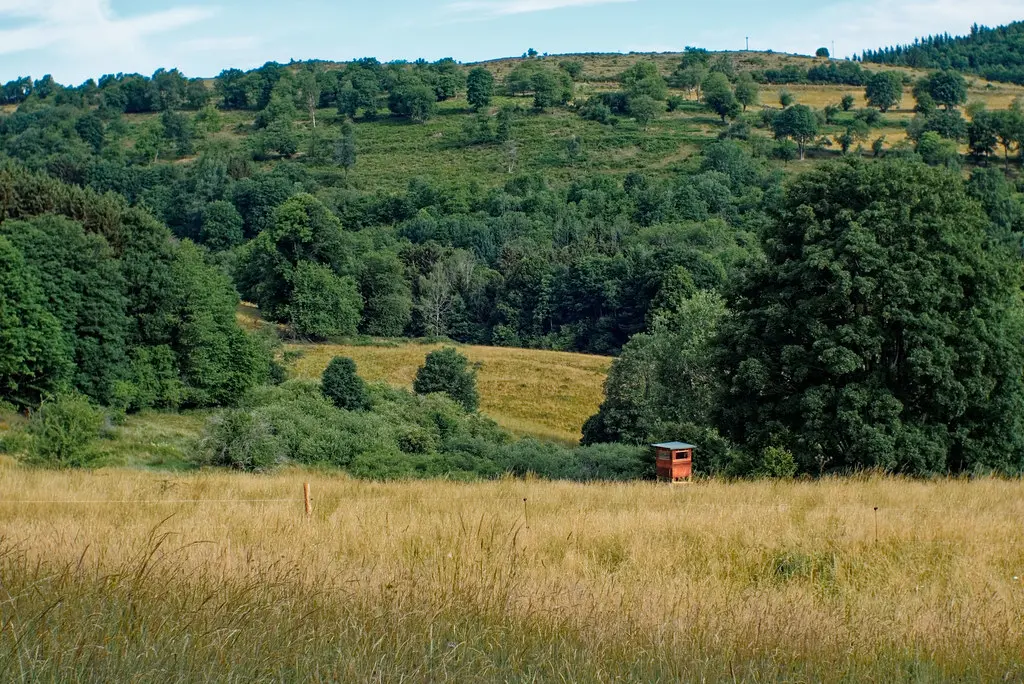 Near Grendelbruch