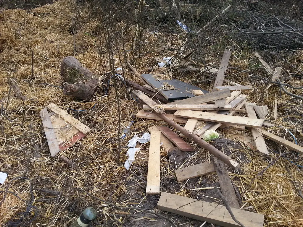 Hambacher Forst
